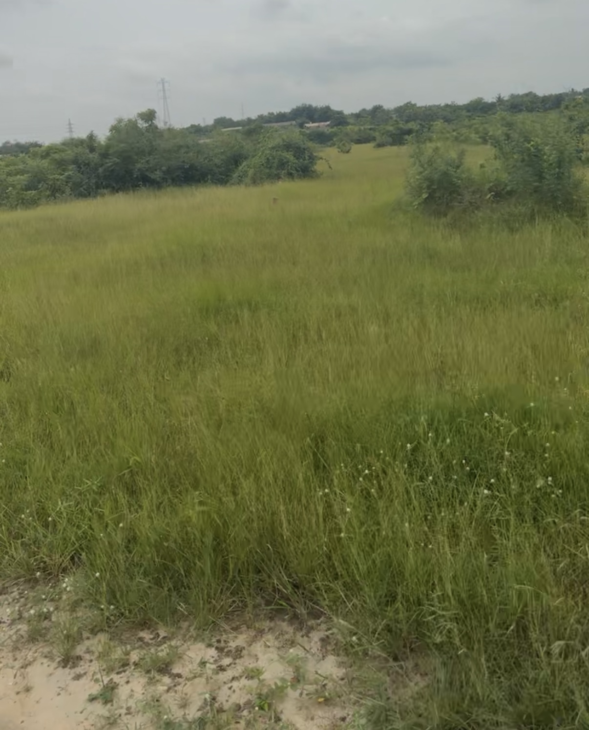 Bare plot at Berry Boulevard
