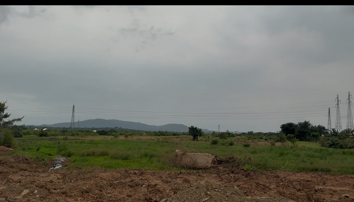 Berry Boulevard land — current state
